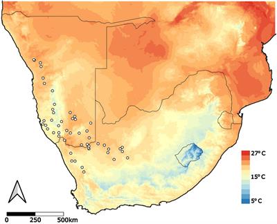 Broadening Predictive Understanding of Species’ Range Responses to Climate Change: The Case of Aloidendron dichotomum